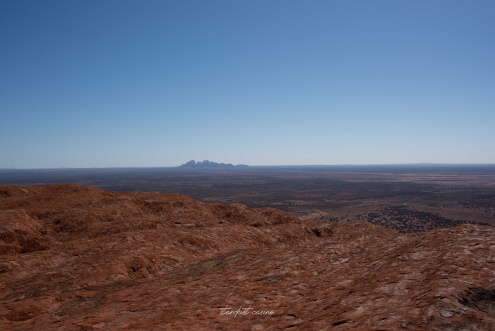 【澳洲北領地自由行】烏魯魯卡塔丘塔國家公園：爬上ULURU