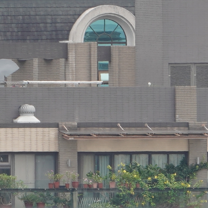 Sony 200-600mm f/5.6-6.3G OSS 超望遠變焦鏡頭的絕佳呈現