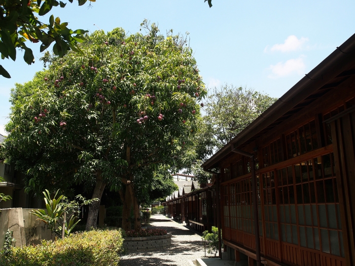 臺中 清水 清水公學校日式宿舍群|楊肇嘉紀念館 — 保存完整的大規模日式宿舍群