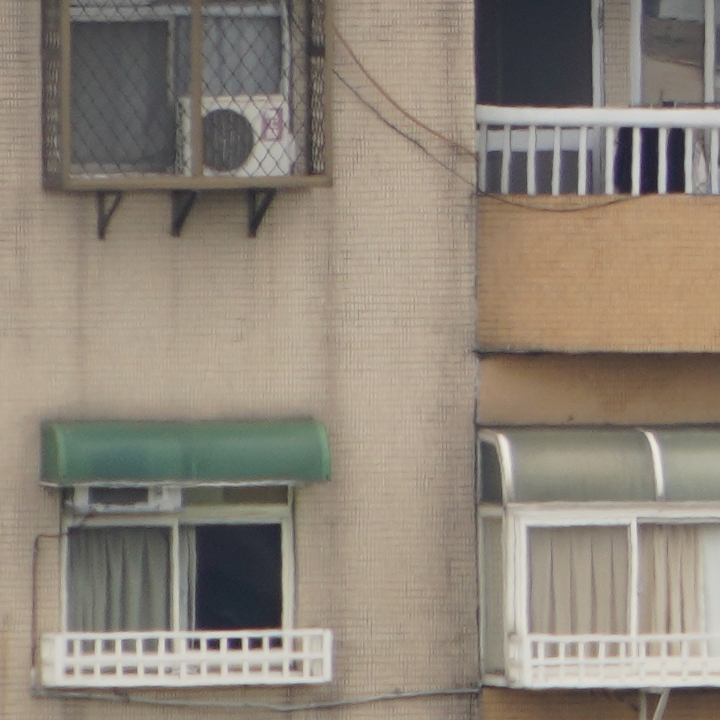 Sony 200-600mm f/5.6-6.3G OSS 超望遠變焦鏡頭的絕佳呈現