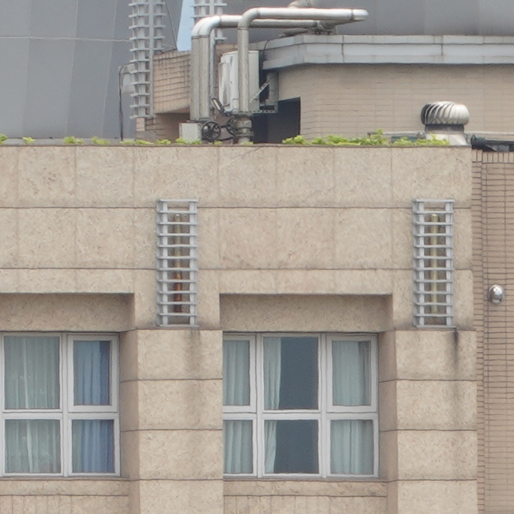 Sony 200-600mm f/5.6-6.3G OSS 超望遠變焦鏡頭的絕佳呈現