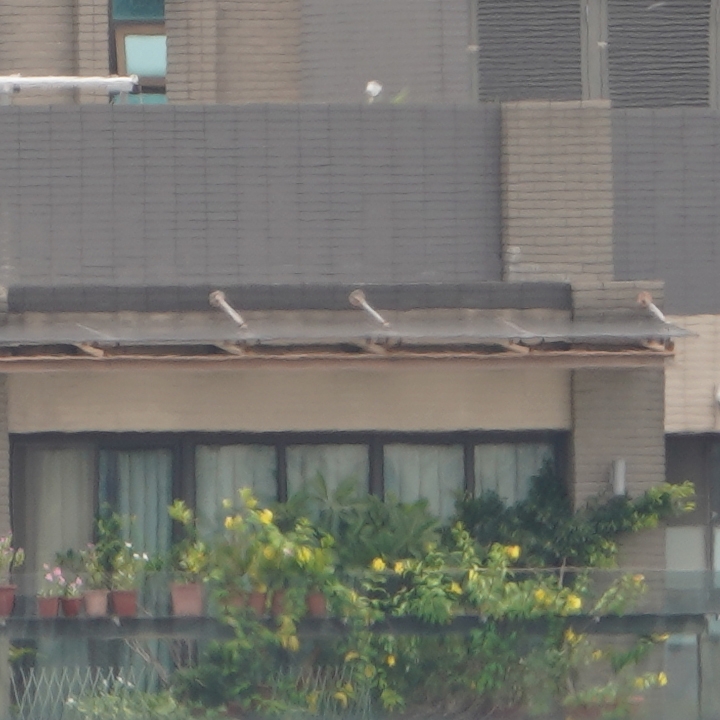 Sony 200-600mm f/5.6-6.3G OSS 超望遠變焦鏡頭的絕佳呈現
