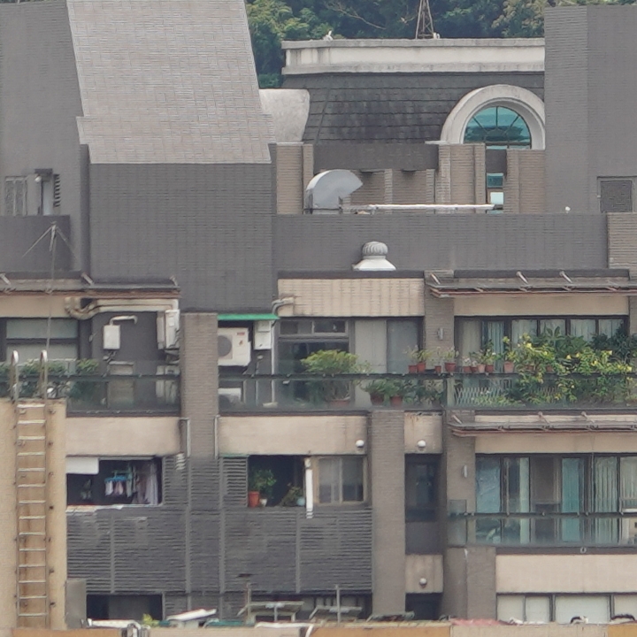 Sony 200-600mm f/5.6-6.3G OSS 超望遠變焦鏡頭的絕佳呈現