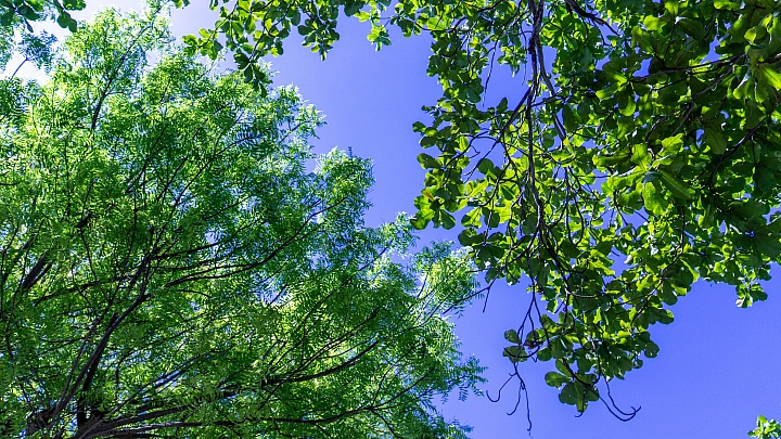 就為了那整片藍藍的海--宿霧（a6000+24z+10-18)