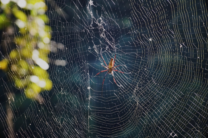 親自體驗Ford Ranger