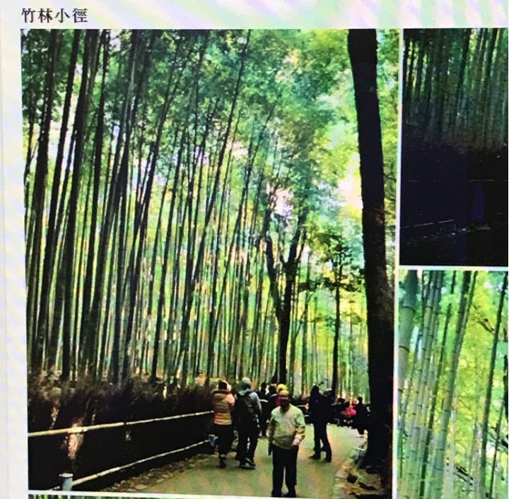 京阪神五日挑戰十萭步之旅