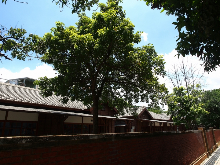 臺中 清水 清水公學校日式宿舍群|楊肇嘉紀念館 — 保存完整的大規模日式宿舍群