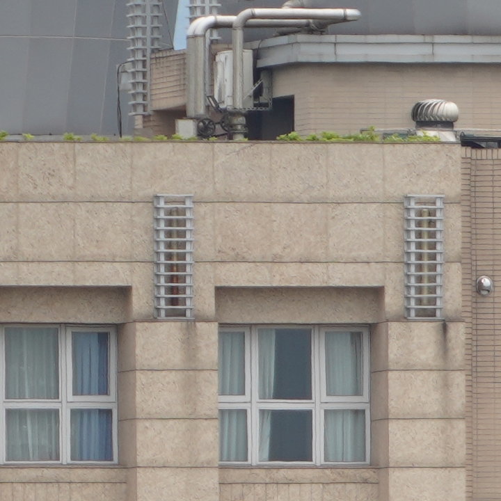 Sony 200-600mm f/5.6-6.3G OSS 超望遠變焦鏡頭的絕佳呈現