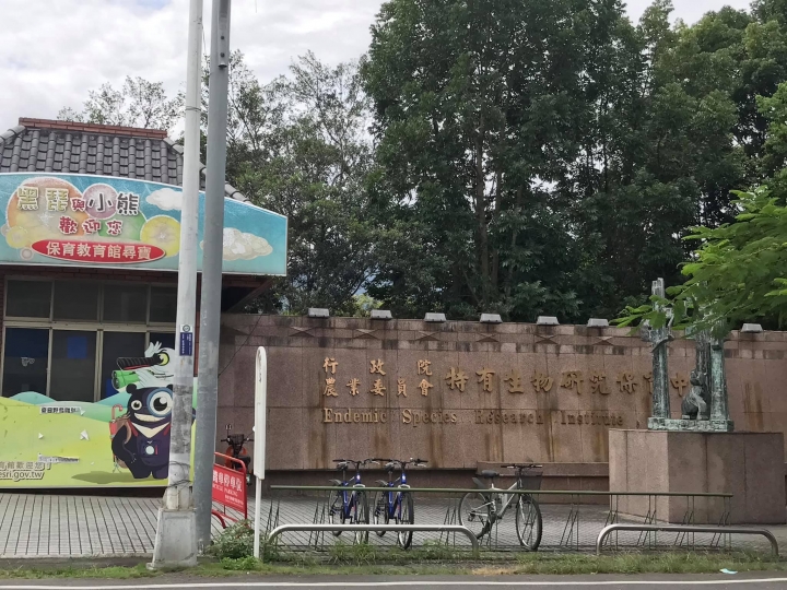 【請益】未知品種的鳥禽