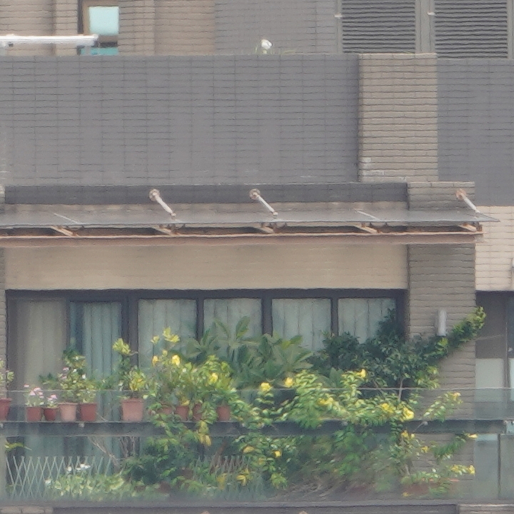 Sony 200-600mm f/5.6-6.3G OSS 超望遠變焦鏡頭的絕佳呈現