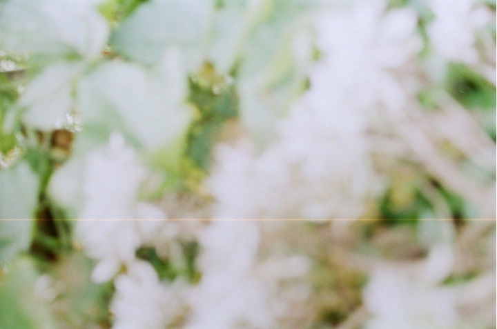 一捲悲壯的底片