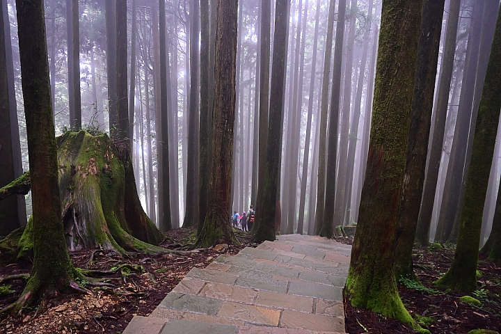 24-70mm F2.8 S+SB-5000的旅遊：阿里山、霧台、小琉球還有飛碟雲。