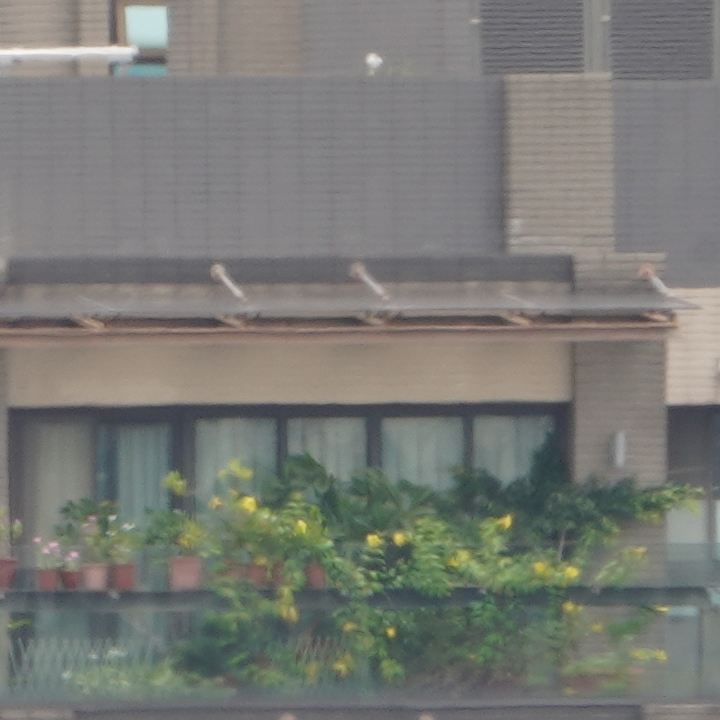 Sony 200-600mm f/5.6-6.3G OSS 超望遠變焦鏡頭的絕佳呈現