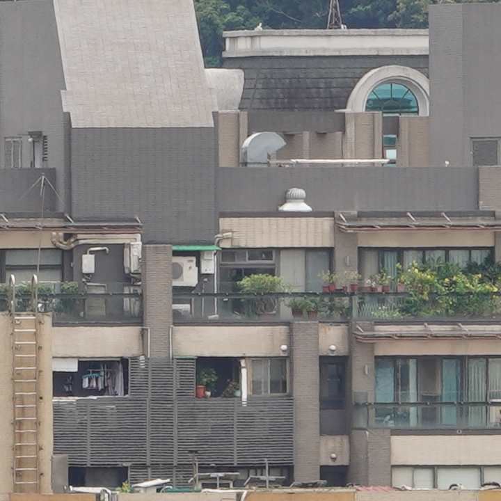 Sony 200-600mm f/5.6-6.3G OSS 超望遠變焦鏡頭的絕佳呈現