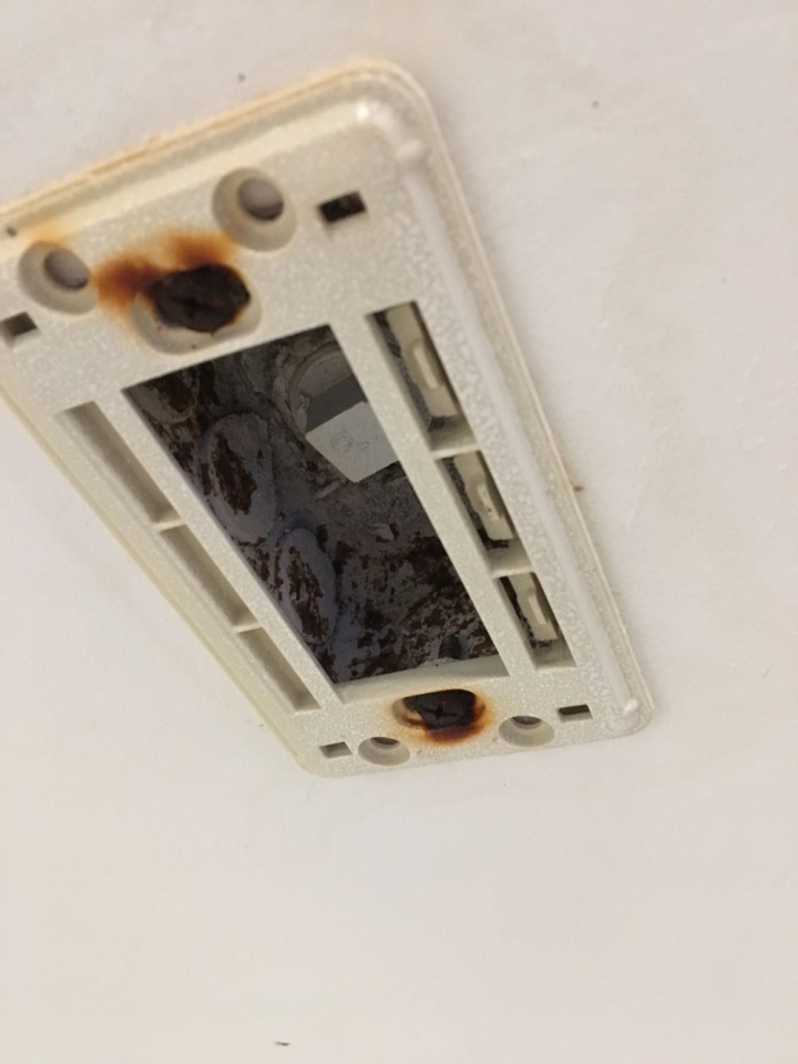 這是什麼🤔？