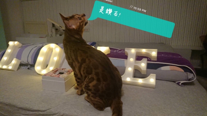 鑽石銀行-裸鑽求婚