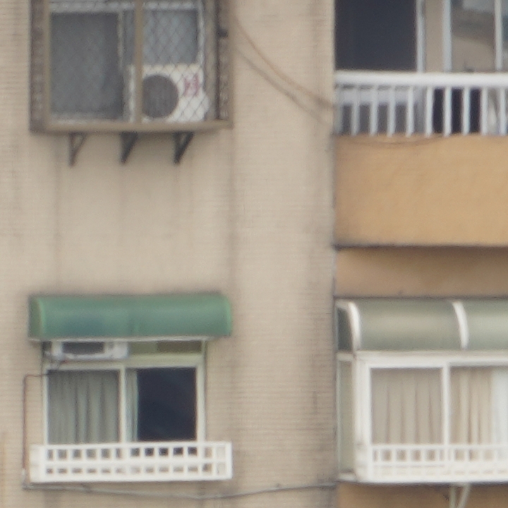 Sony 200-600mm f/5.6-6.3G OSS 超望遠變焦鏡頭的絕佳呈現