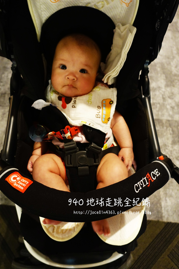 [桃園 • 景點] 嫩嬰出遊初體驗 | 大溪花海農場。可口可樂博物館
