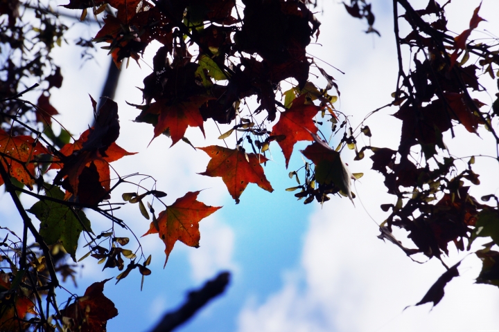 親自體驗Ford Ranger