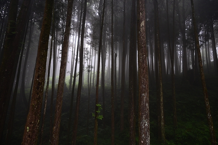 24-70mm F2.8 S+SB-5000的旅遊：阿里山、霧台、小琉球還有飛碟雲。