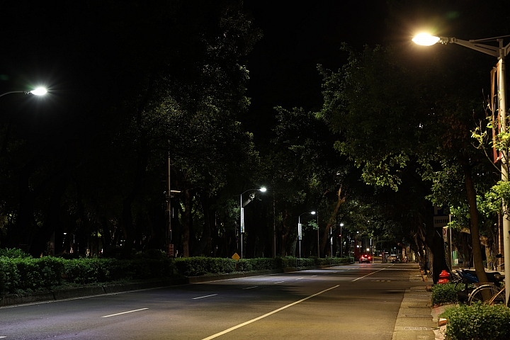 Canon RF 85mm f/1.2L USM 鏡頭評測｜極致光學的展現 人像鏡皇代表作！