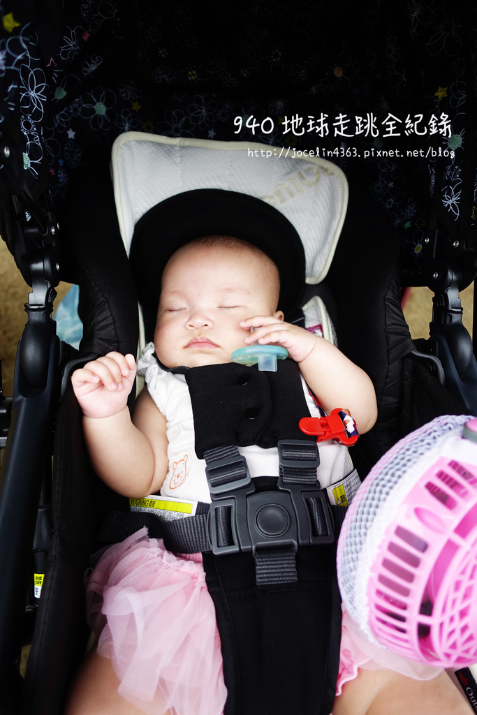 [桃園 • 景點] 嫩嬰出遊初體驗 | 大溪花海農場。可口可樂博物館