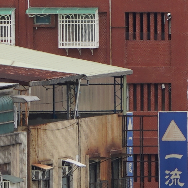 Sony 200-600mm f/5.6-6.3G OSS 超望遠變焦鏡頭的絕佳呈現