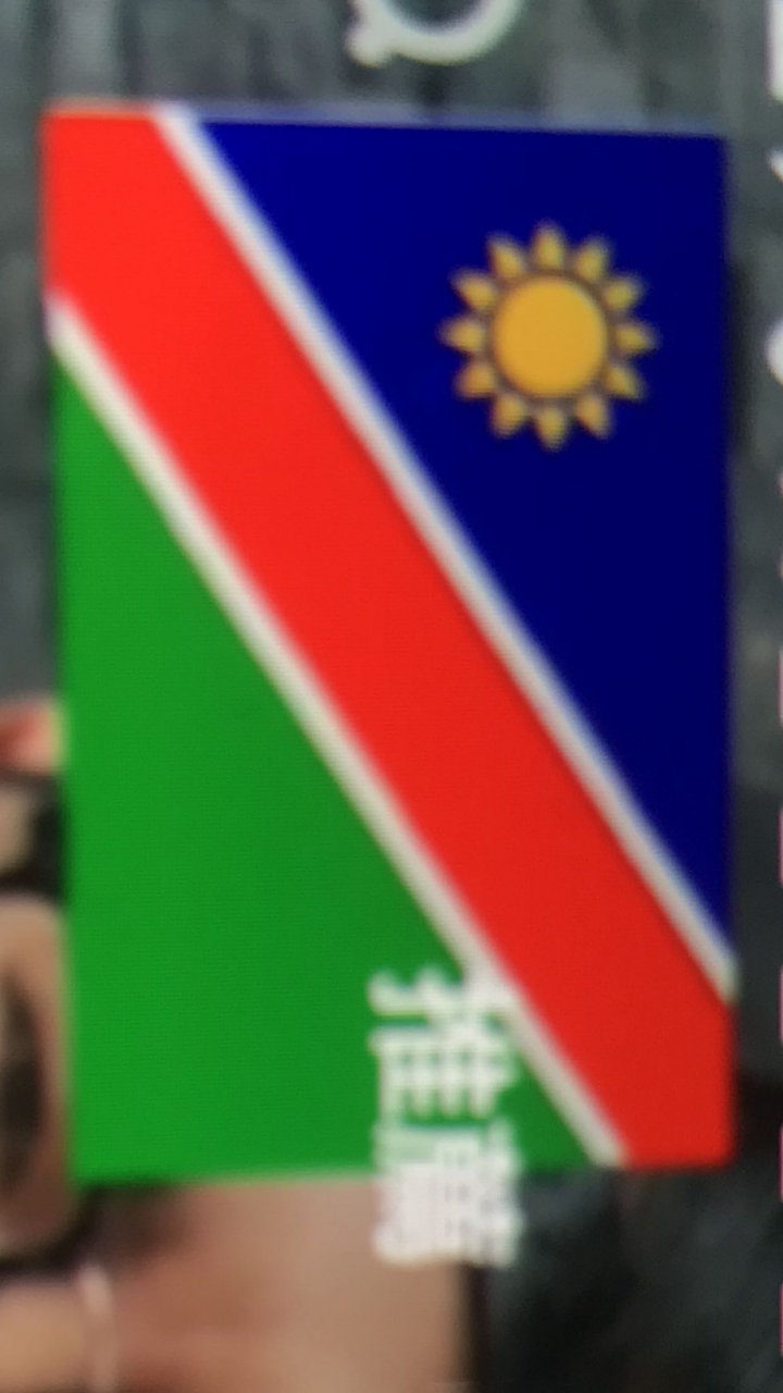 這哪一國的國旗啊