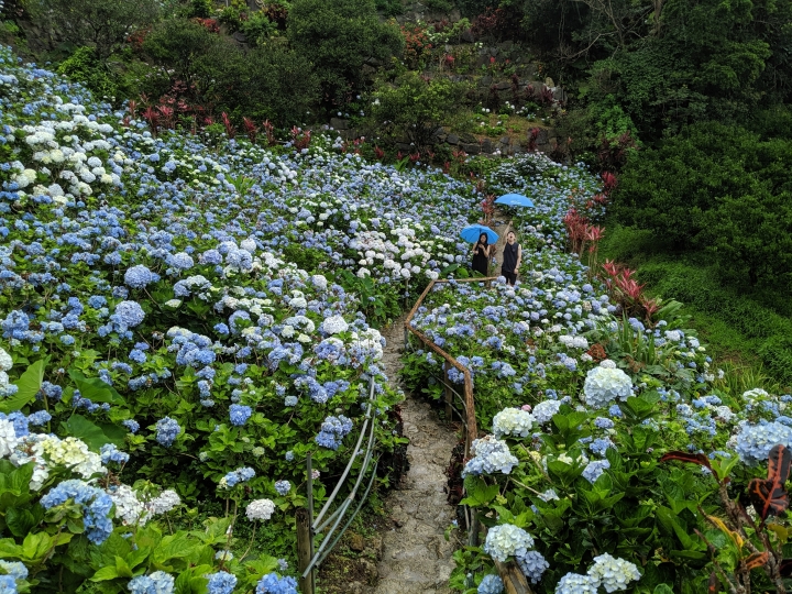[分享]: 沖繩攝影紀錄(by Pixel 3)+犀牛盾4K廣角鏡頭