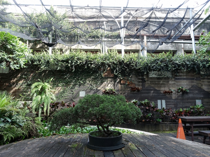 臺中市 南區 文化部文化資產園區|原台中文化創意產業園區 — 現存日治時期酒廠中保存最完整的,唯一公辦公營的文資園區