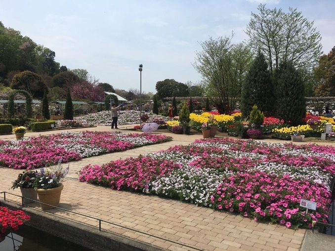典藏俱樂部-春季賞花之旅