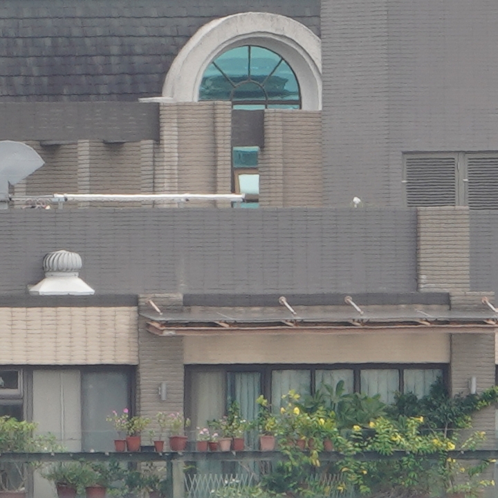 Sony 200-600mm f/5.6-6.3G OSS 超望遠變焦鏡頭的絕佳呈現