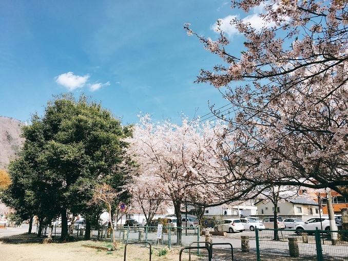 典藏俱樂部-春季賞花之旅