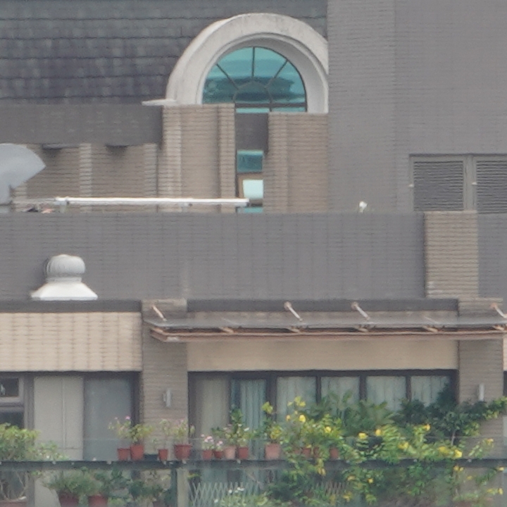 Sony 200-600mm f/5.6-6.3G OSS 超望遠變焦鏡頭的絕佳呈現