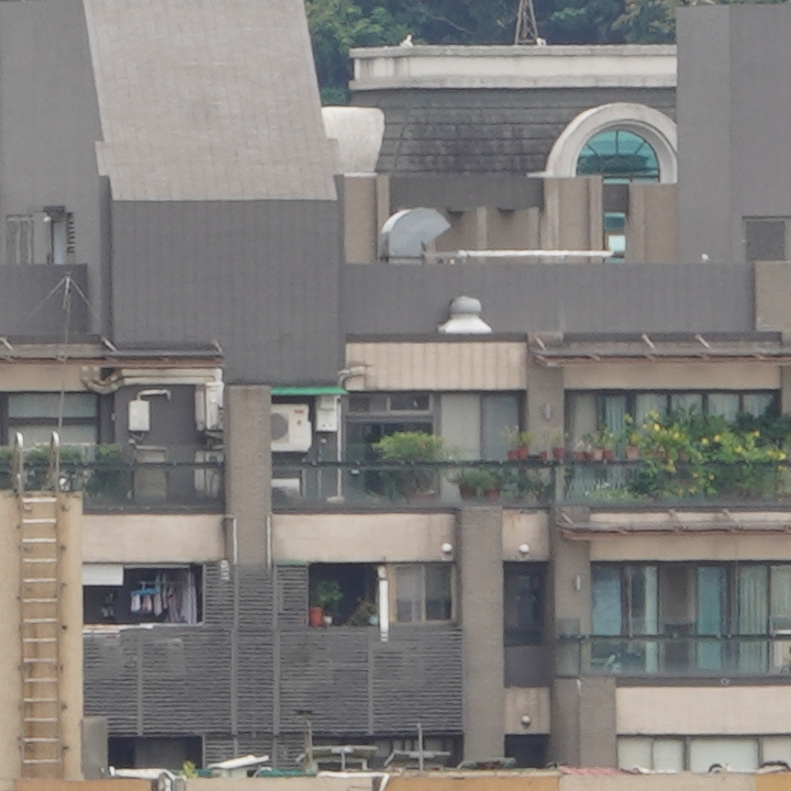 Sony 200-600mm f/5.6-6.3G OSS 超望遠變焦鏡頭的絕佳呈現