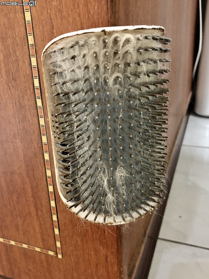 適用《Dyson V11™ absolute 無線吸塵器》帶走的是灰塵髒亂, 留下的是清新乾爽-家有毛小孩的無雙利器