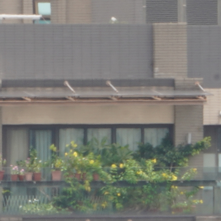 Sony 200-600mm f/5.6-6.3G OSS 超望遠變焦鏡頭的絕佳呈現