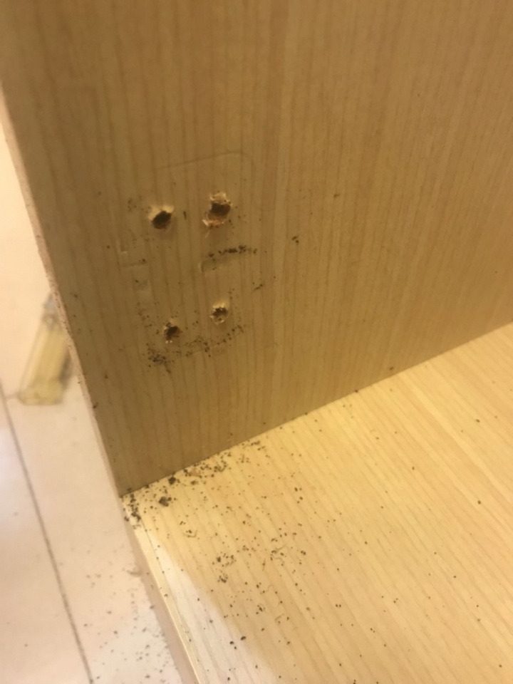 防蟑修繕建議
