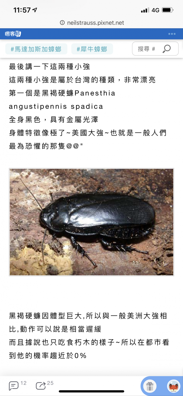 家剛裝潢半年不到一直有這種蟲，上網google不到。請解答