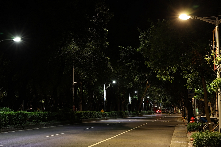 Canon RF 85mm f/1.2L USM 鏡頭評測｜極致光學的展現 人像鏡皇代表作！