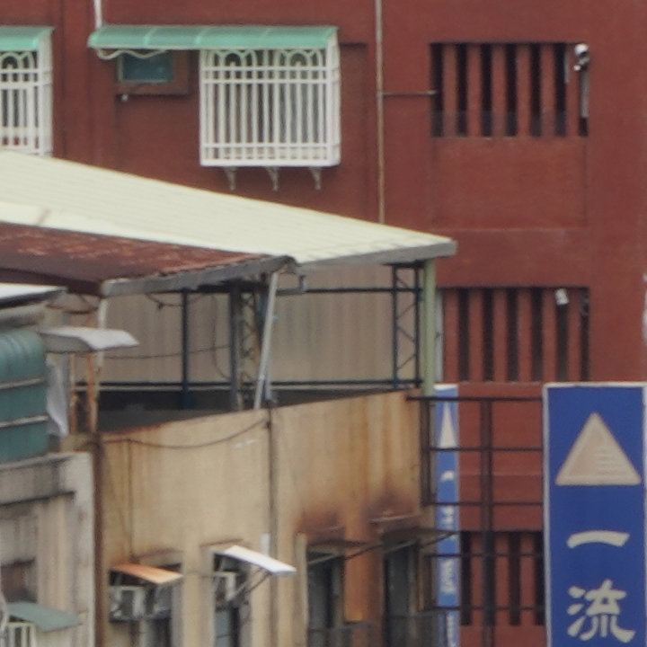 Sony 200-600mm f/5.6-6.3G OSS 超望遠變焦鏡頭的絕佳呈現