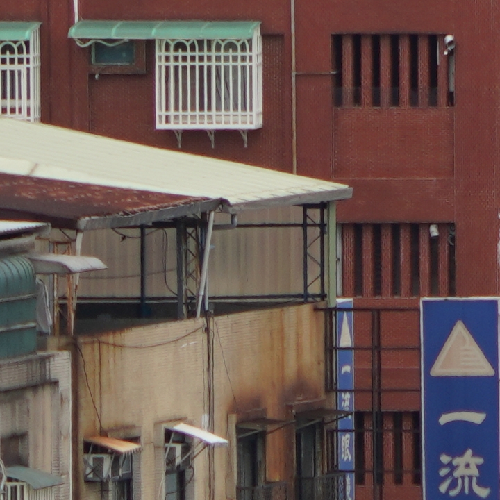 Sony 200-600mm f/5.6-6.3G OSS 超望遠變焦鏡頭的絕佳呈現