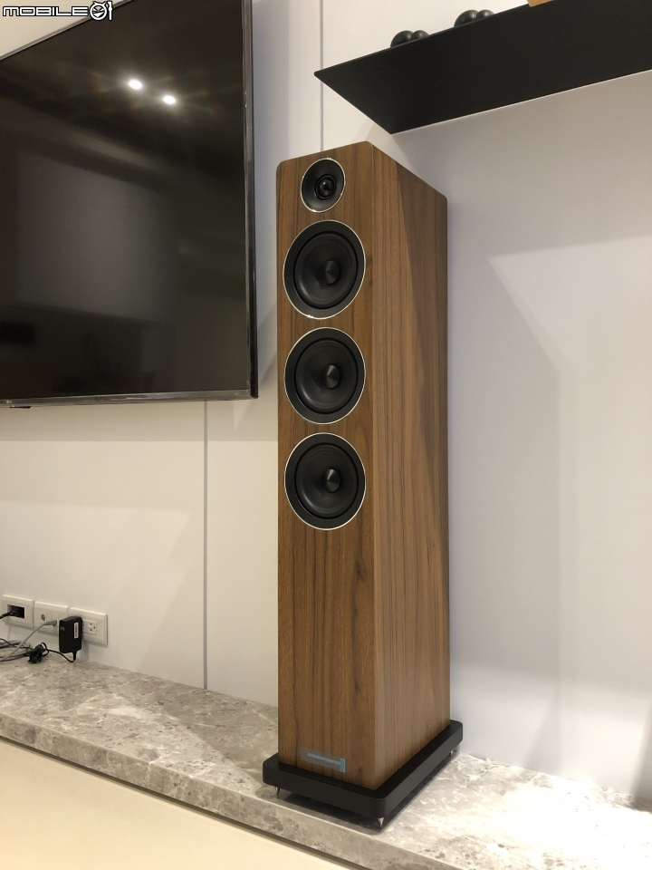 你們認識Acoustic Energy的 AE120落地式喇叭嗎