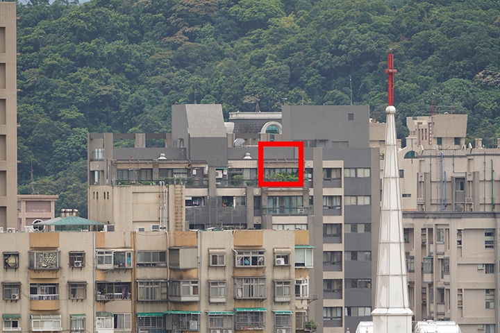 Sony 200-600mm f/5.6-6.3G OSS 超望遠變焦鏡頭的絕佳呈現