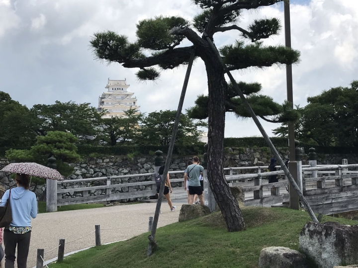 京阪神五日挑戰十萭步之旅
