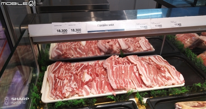 2019 初到蒙古國 （三）森林漫走