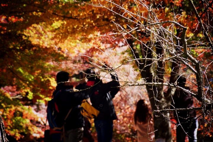 親自體驗Ford Ranger