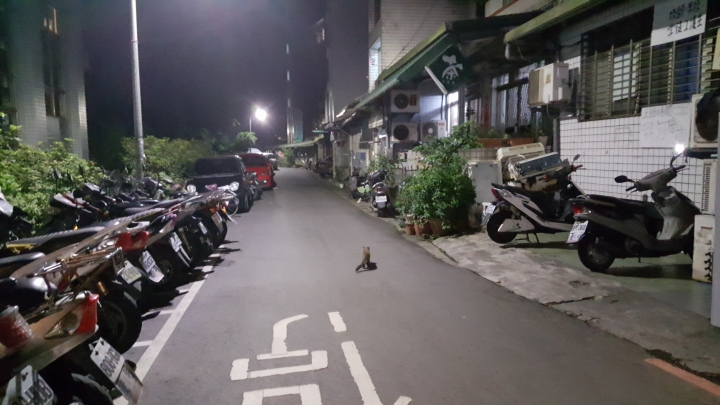 最近幾週騎車回家都差點撞到