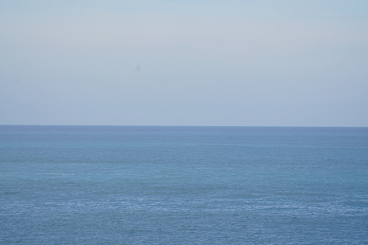Sony 200-600mm f/5.6-6.3G OSS 超望遠變焦鏡頭的絕佳呈現