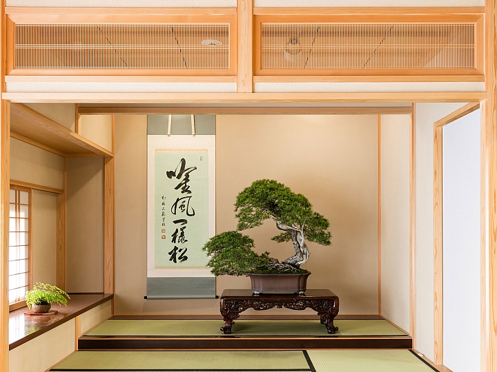 日本的主題樂園⑦「全世界的盆栽迷都來朝聖。全球第一座盆栽美術館」